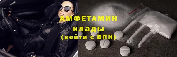 прущие грибы Нея