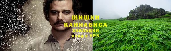 прущие грибы Нея