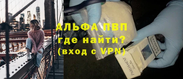 прущие грибы Нея