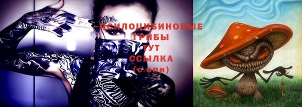 хмурый Надым