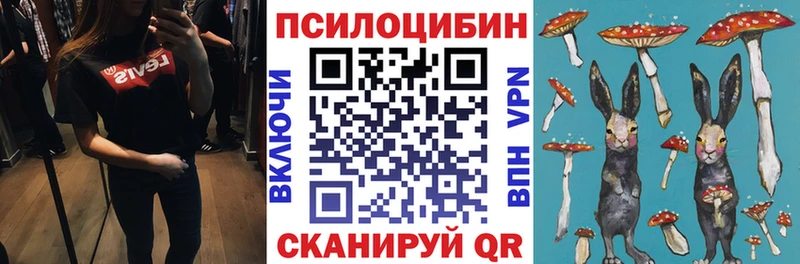 Псилоцибиновые грибы Magic Shrooms  наркотики  Морозовск 
