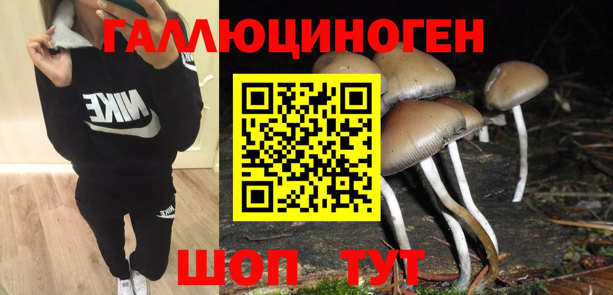 дарнет шоп  Псилоцибиновые грибы Psilocybine cubensis  Морозовск  Вход с VPN  Галлюциногенные грибы MAGIC MUSHROOMS 