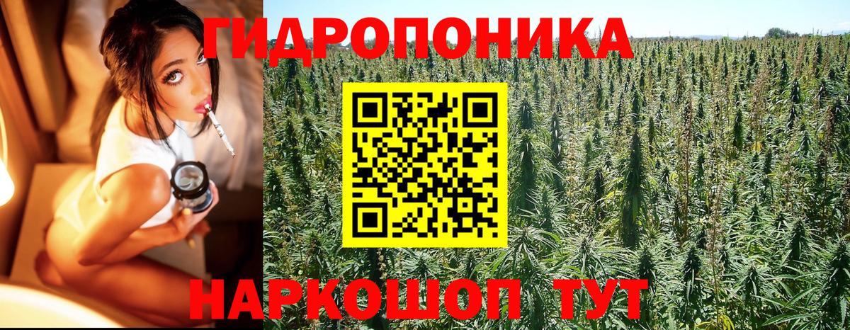 Каннабис тримм  Шишки марихуана тримм  Морозовск  Конопля гибрид  Вход с VPN 